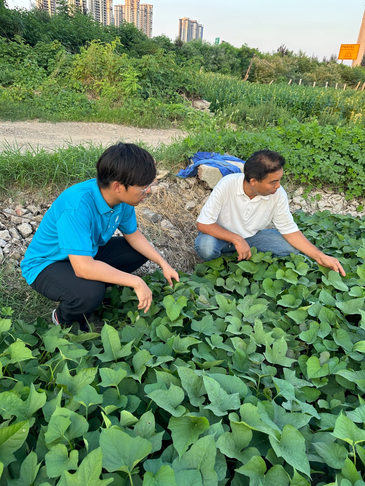 立于乡村大地之上，构筑乡村振兴新发展 ———电子工程学院担当有为助推乡村振兴实践队